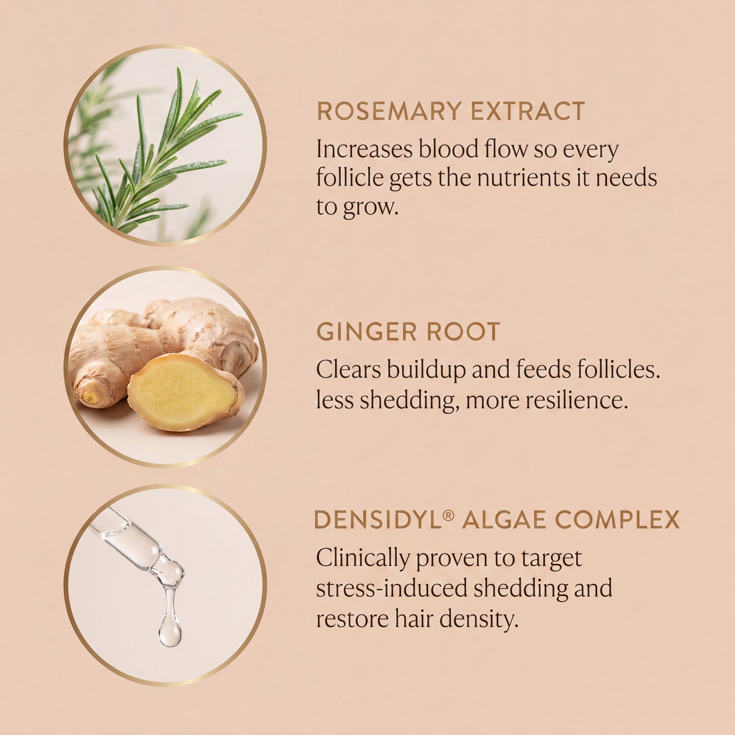 Scalp Serum
